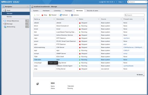 ESXi screen showing TSM-SSH