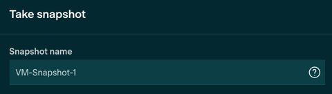 VM snapshot name