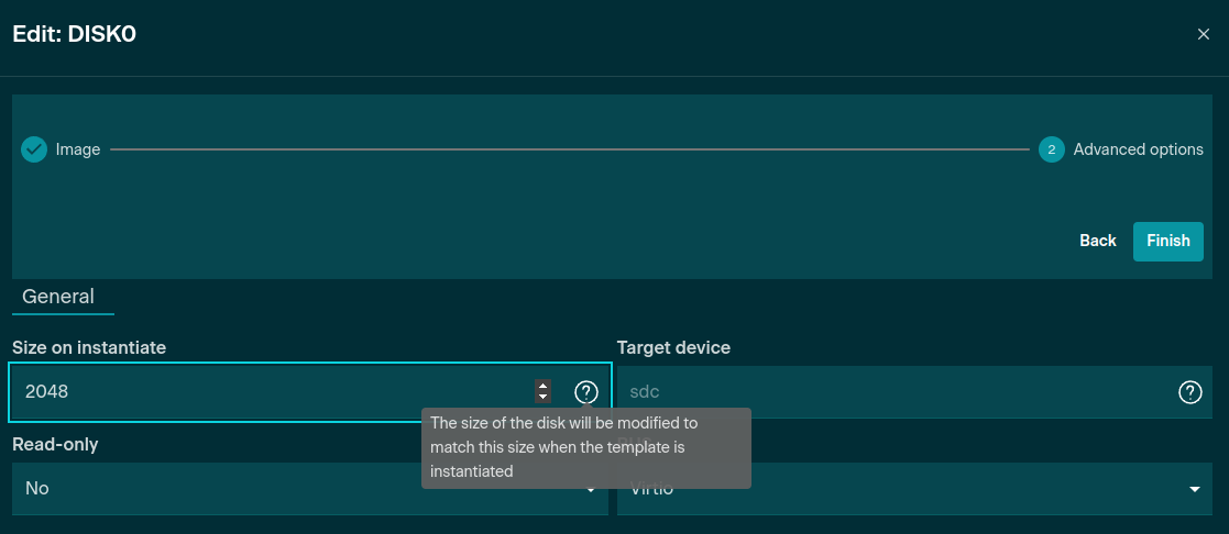 App Advanced options - Storage