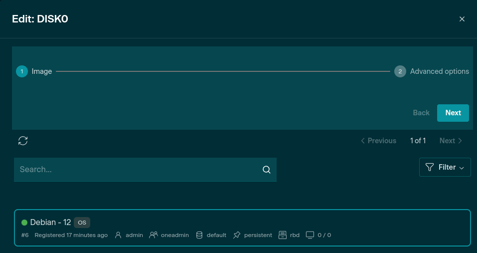 App Advanced options - Storage